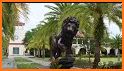 Saint Leo Go related image