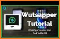 Wutsapper (WhatsApp from Android to iOS) related image