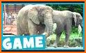 Animals Game For Kids related image