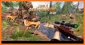 Deer Hunting 2021-Wild Animals Hunting Games related image