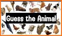 Animal Quiz: Guess the Animal related image