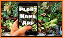 plant finder: plant, flower, fruit identification related image