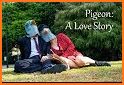 Pigeon: A Love Story related image