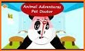 The Animal Doctor related image