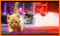 Team Drift Cats related image