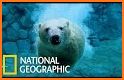 EcoGuide: Russian Wild Mammals related image