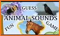 Guess the animal name, Learning the animal related image