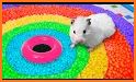 Kawaii Hamster Run - Fun race related image