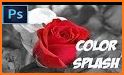 Color Splash New Version Photo Editor 2018 related image