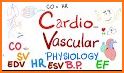 Cardiac Output & Volume Calculator: Cardiology related image