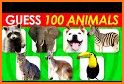 100 Animals related image