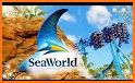 VR Guide: SeaWorld Orlando related image