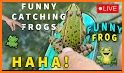 JUMPiNG FROG related image