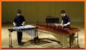 Marimba, Xylophone, Vibraphone Real related image