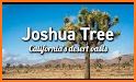 Joshua Tree National Park related image