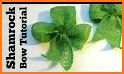 St.patrick's Day Photo Frames related image