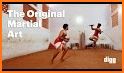 Royal Karate Training Kings: Kung Fu Fighting 2018 related image