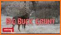 Deer hunting calls related image