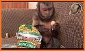 The Snack Monkey related image