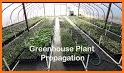 Bench's Greenhouse & Nursery related image