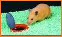 Hamster Break - The Breakout Game 🐹🧱 related image