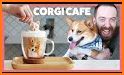 Corgi World Tour related image