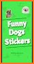 Funny Dog memes stickers WAStickerApps related image