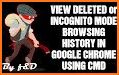 Incognito Browser - Your own Anonymous Browser related image