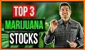 MarijuanaStocks related image