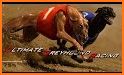 Dog Racing & Betting Online related image