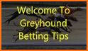 Sports betting tips - Top Dogs related image