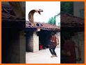 Trending Viral, Funny & Status Video for Snake related image