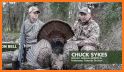 South Carolina Wild Turkey Harvest Reporting related image