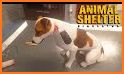 Forklift Animal Transport Rescue Game related image