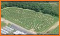 Grass Maze related image