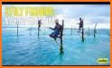 Stilt Fishing related image