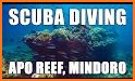 Scuba Adventure: Philippines related image