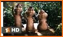 Alvin The Chipmunks All Song Video related image