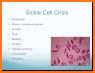 Diseases and Disorders Guide related image