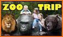 Zoo Animals related image