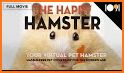 Harry the Hamster - The Virtual Pet Game related image