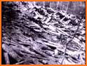 Forest History related image