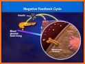 Glucose Control related image