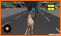 Sea Animals Truck Transport Simulator related image