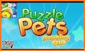 Pet Bros - Puzzle Pet Game related image