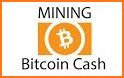 Bitcoin Cash Faucet - Free BCH Mining related image