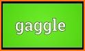 Gaggle related image