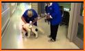 Good Shepherd Pet Hospital related image