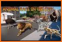 Animal Rush - Rush hour animals racing game related image