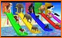 Cube Slide : Animals related image